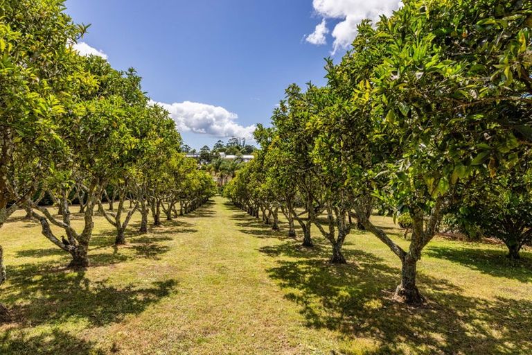Photo of property in 17 Poplar Lane, Kerikeri, 0293