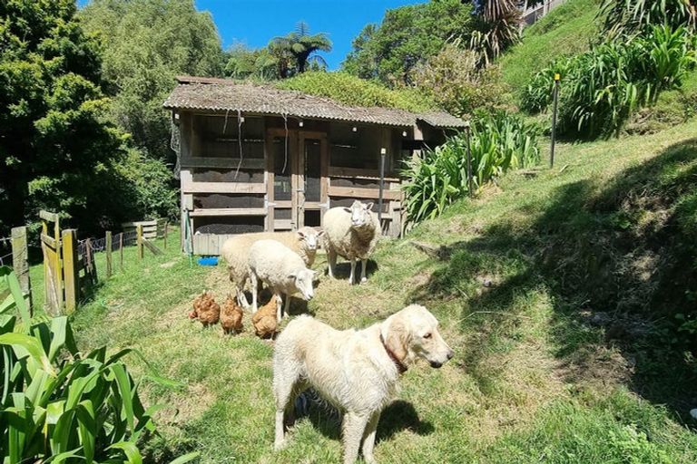 Photo of property in 11a Tui Street, Te Puke, 3119