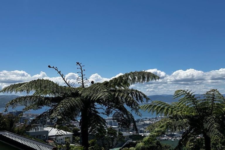 Photo of property in 23 Mitchell Street, Brooklyn, Wellington, 6021