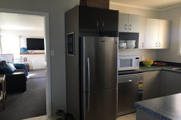 Photo of property in 45 Richmond Street, Cambridge, 3434