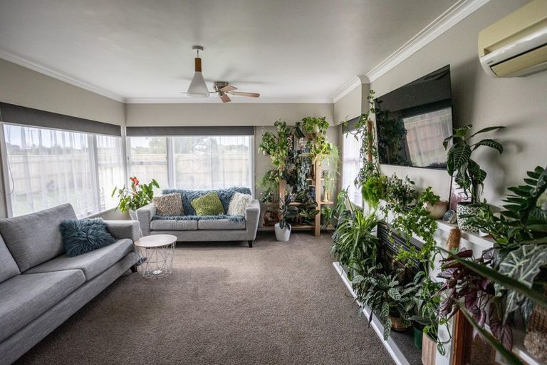 Photo of property in 3 Ferguson Road, Coastlands, Whakatane, 3191