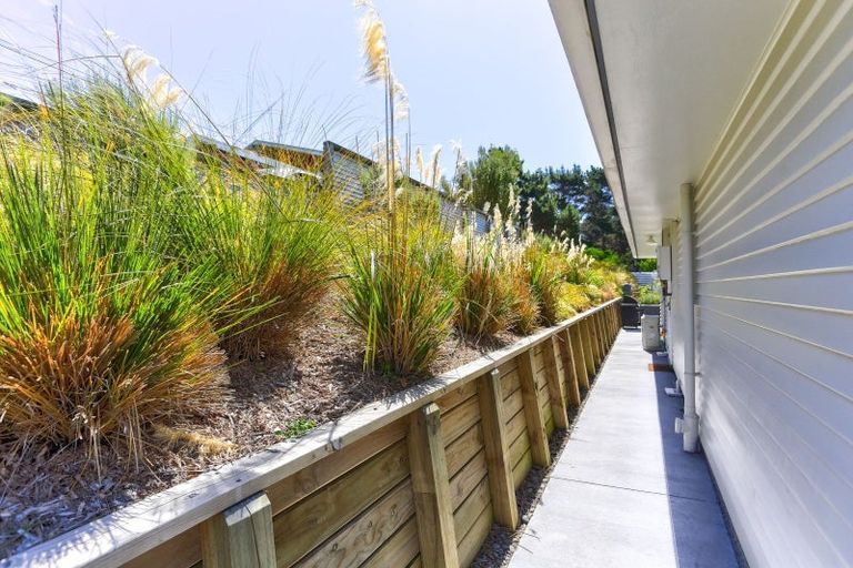 Photo of property in 29 Manuka Street, Castlecliff, Whanganui, 4501