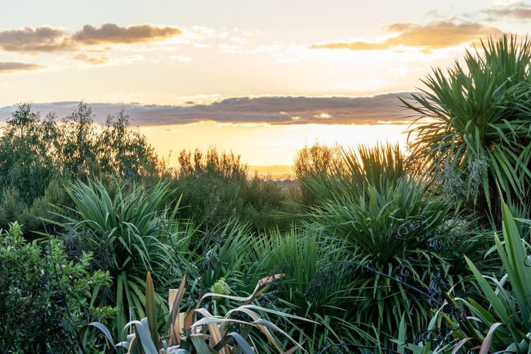 Photo of property in 257 Maungakawa Road, Cambridge, 3496