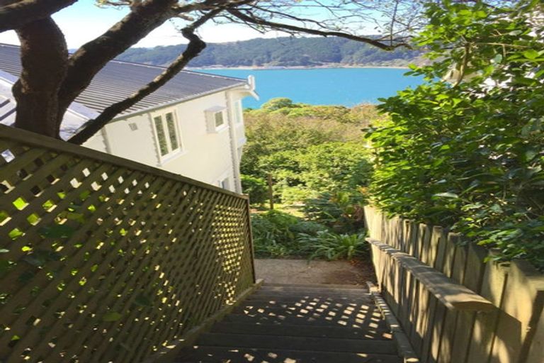 Photo of property in 124 Te Anau Road, Hataitai, Wellington, 6021