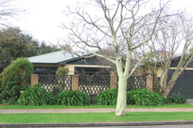 Photo of property in 19 Phoenix Avenue, Hokowhitu, Palmerston North, 4410