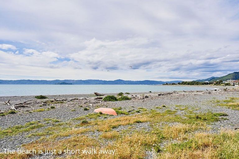 Photo of property in 5 Kowhai Street, Eastbourne, Lower Hutt, 5013