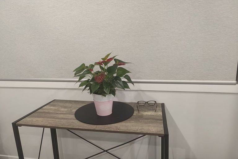 Photo of property in 4 Turkington Street, Tawa, Wellington, 5028