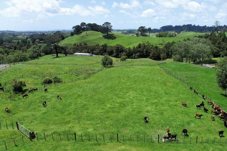Photo of property in 827 Wainui Road, Wainui, Opotiki, 3198