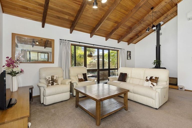 Photo of property in 22 Mcmeekan Avenue, Chartwell, Hamilton, 3210