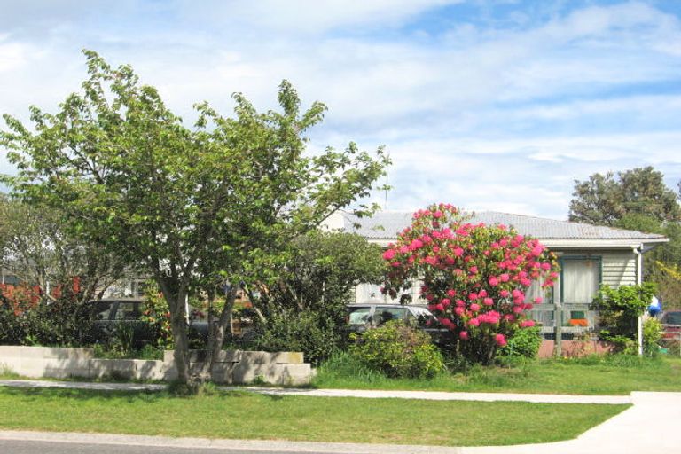 Photo of property in 53 Scannell Street, Taupo, 3330