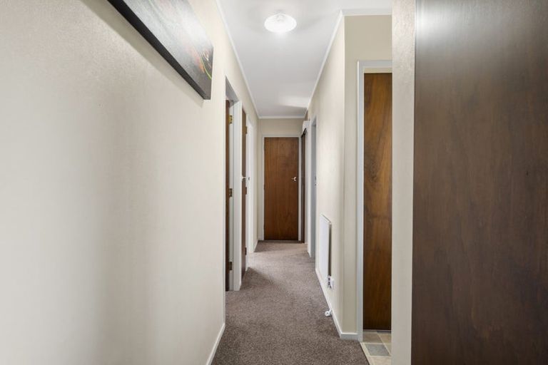 Photo of property in 113 Amanda Avenue, Dinsdale, Hamilton, 3204