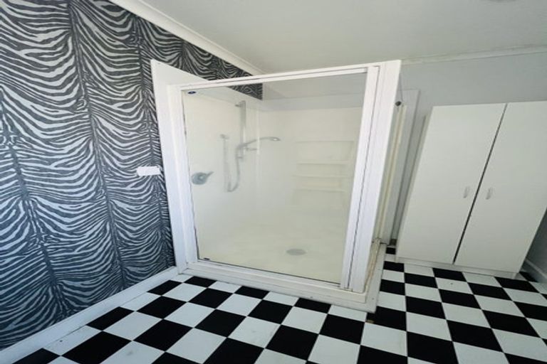 Photo of property in 48 Tweed Street, Roslyn, Palmerston North, 4414