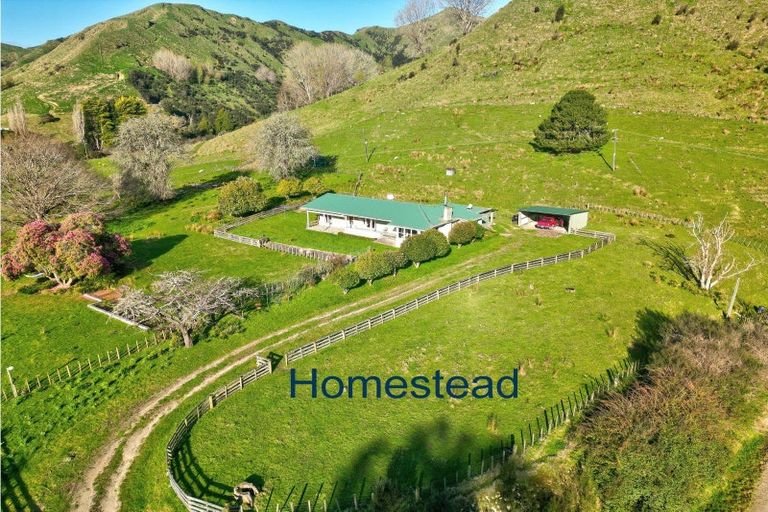 Photo of property in 918 Makakaho Road, Ngamatapouri, 4588