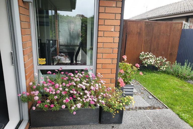 Photo of property in 16 Plunket Street, Spreydon, Christchurch, 8024