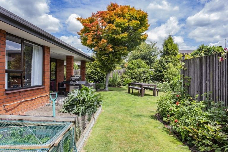 Photo of property in 270 Kingsbury Avenue, Rangiora, 7400
