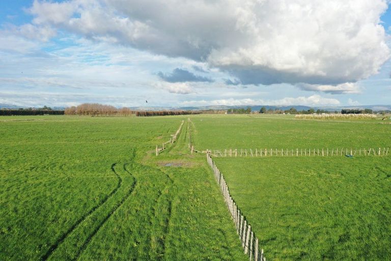 Photo of property in 104 Durie Road, Aorangi, Feilding, 4775