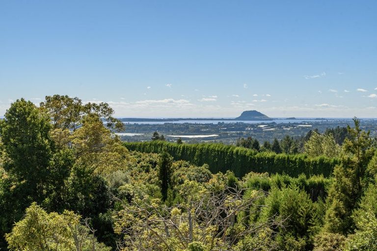 Photo of property in 257d Whakamarama Road, Whakamarama, Tauranga, 3179