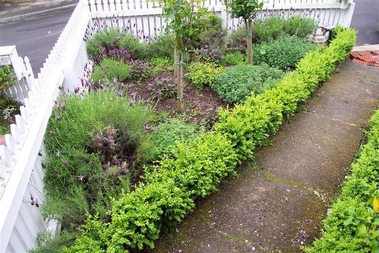 Photo of property in 14 Reuben Avenue, Brooklyn, Wellington, 6021