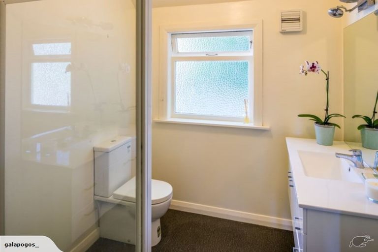 Photo of property in 66 Hankey Street, Mount Cook, Wellington, 6011