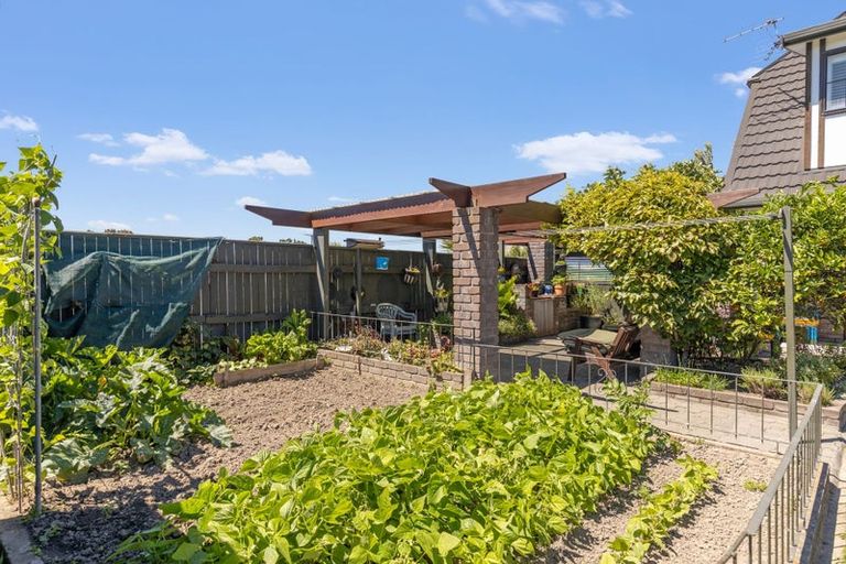Photo of property in 155 Muller Road, Blenheim, 7201