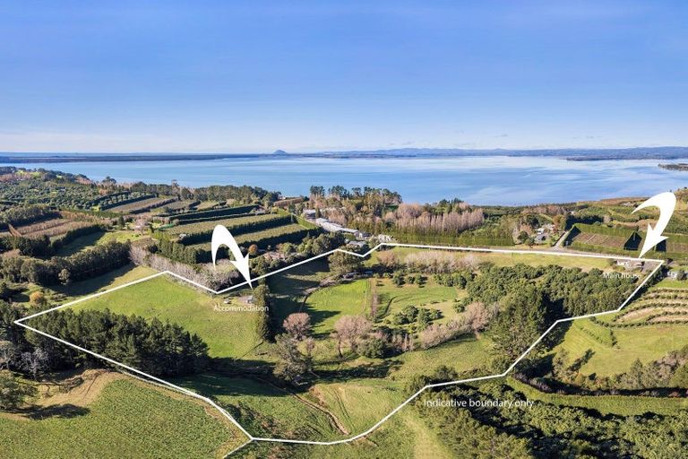 Photo of property in 297 Kauri Point Road, Tahawai, Katikati, 3170