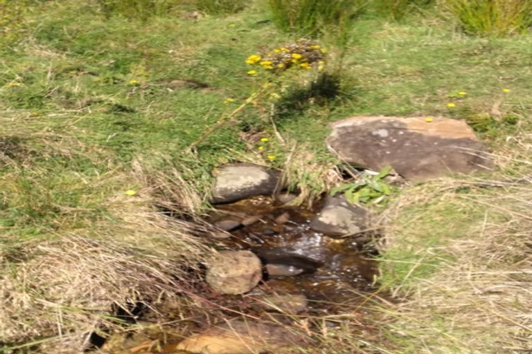 Photo of property in 1/339 Maungakawa Road, Cambridge, 3496