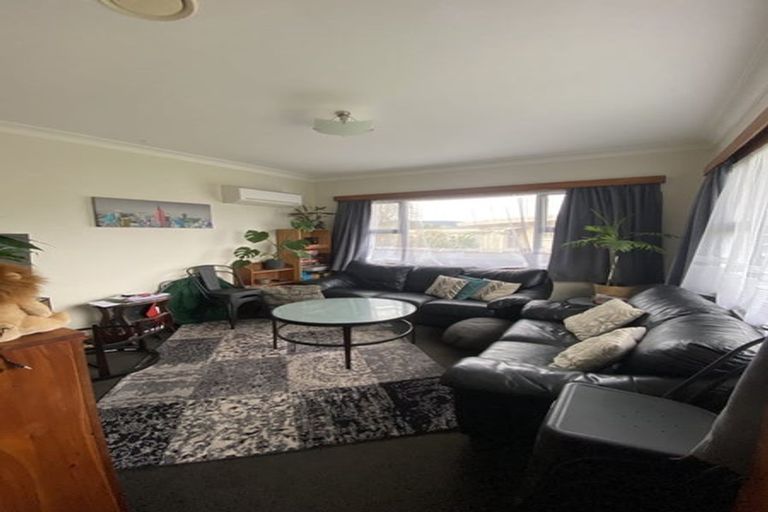 Photo of property in 9 Derby Street, Levin, 5510