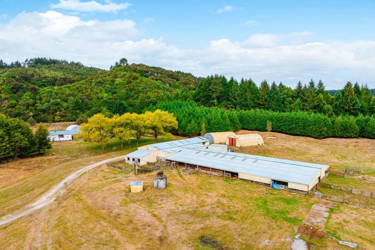Photo of property in 336 Puketapu Road, Marotiri, Mangakino, 3492