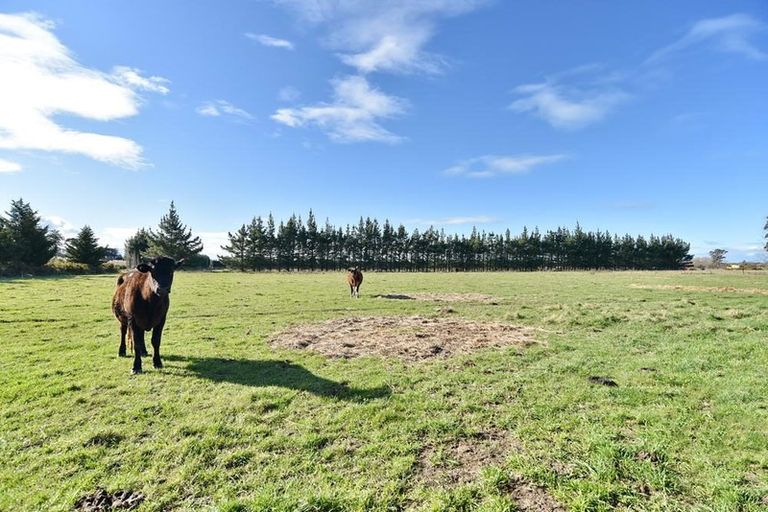 Photo of property in 144 Revells Road, Flaxton, Rangiora, 7691