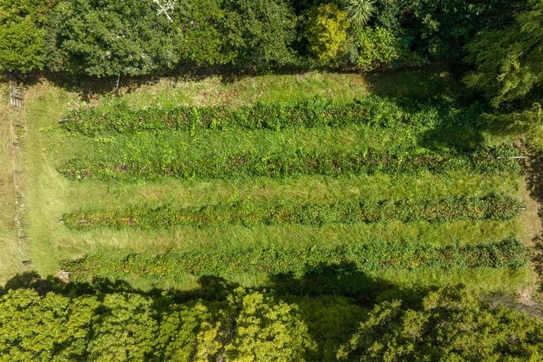 Photo of property in 3687 State Highway 12, Taheke, Kaikohe, 0473