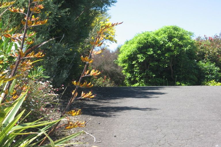 Photo of property in 386 Snodgrass Road, Te Puna, Tauranga, 3174
