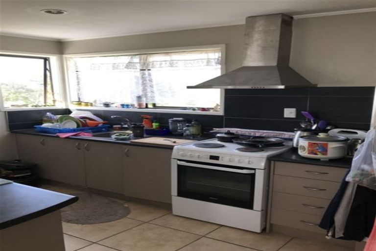 Photo of property in 19 Lendenfeld Drive, Papatoetoe, Auckland, 2025