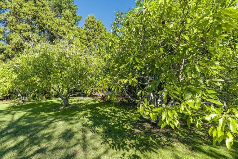 Photo of property in 47 Bruntwood Drive, Whakamarama, Tauranga, 3172