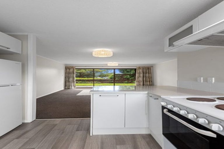 Photo of property in 2/14 Williams Street, Tauranga, 3110