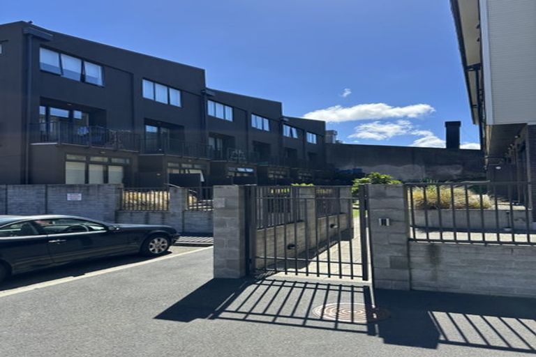 Photo of property in Aniva Terrace, 19 Arney Street, Newtown, Wellington, 6021