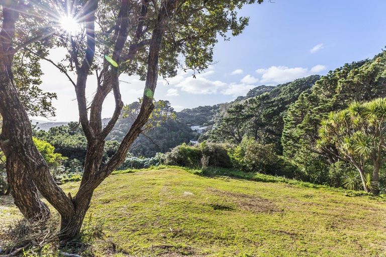 Photo of property in 102 Sidlaw Street, Strathmore Park, Wellington, 6022