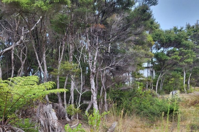 Photo of property in 10 Wilson Avenue, Kawau Island, 0920