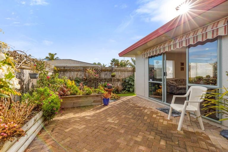 Photo of property in 86a Mcalister Street, Whakatane, 3120