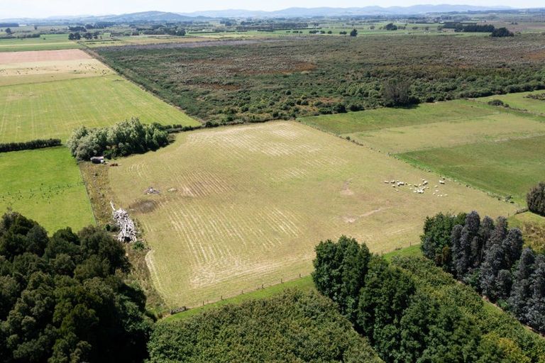 Photo of property in 459 Flora East, Makarewa, Invercargill, 9876