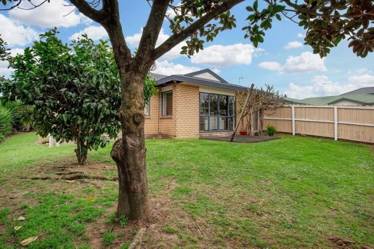 Photo of property in 17 Glenpark Place, Favona, Auckland, 2024