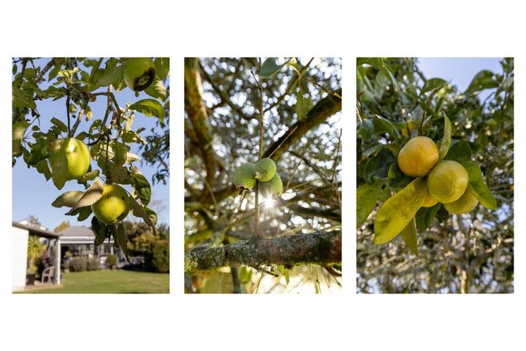 Photo of property in 51 Otara Road, Otara, Opotiki, 3197