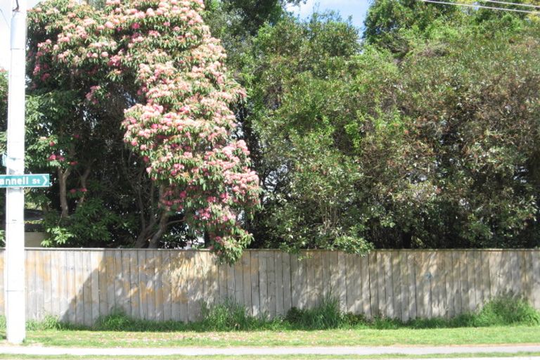 Photo of property in 65 Scannell Street, Taupo, 3330