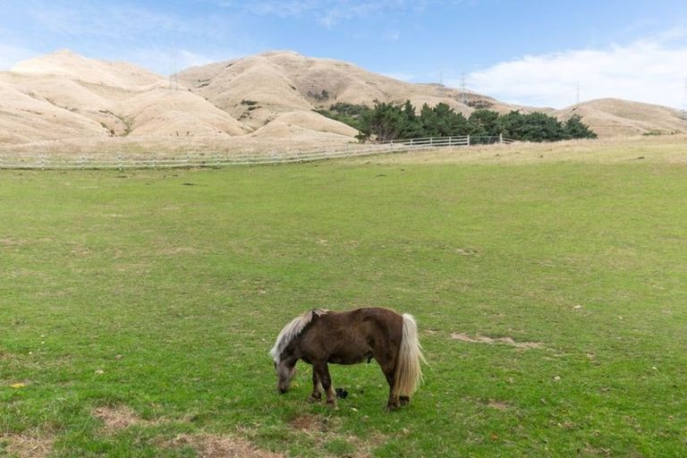 Photo of property in 355 Ohariu Valley Road, Ohariu, Wellington, 6037