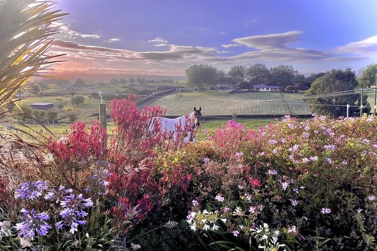 Photo of property in 734 Mangaorongo Road, Otorohanga, 3972