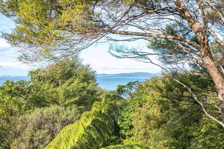Photo of property in 486 Tuateawa Road, Tuateawa, Coromandel, 3583