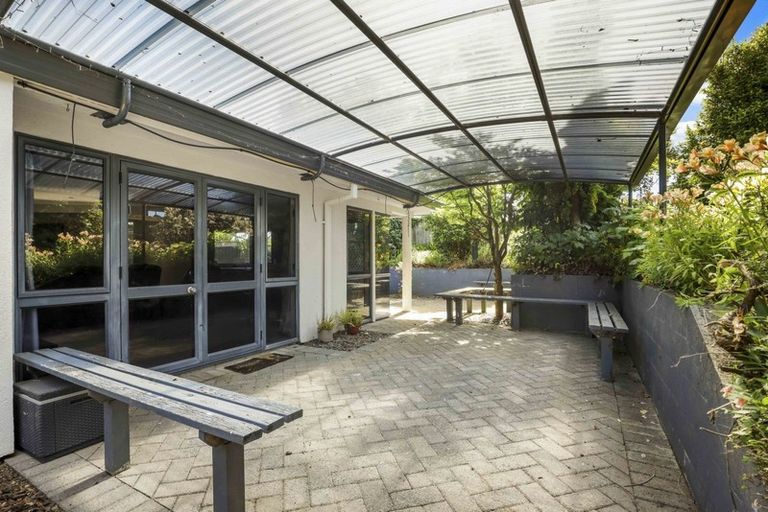 Photo of property in 51 Sunnyhills Avenue, Glenview, Hamilton, 3206