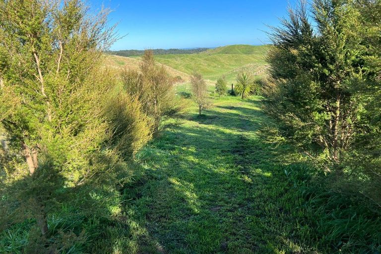 Photo of property in 31 Tarver Lane, Pikowai, Matata, 3194