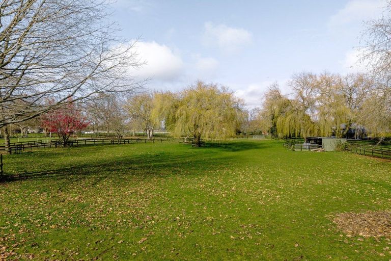 Photo of property in 31 Racecourse Road, Cambridge, 3493