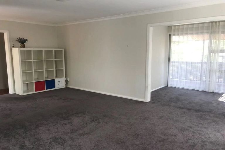 Photo of property in 17 Trafalgar Road, Milford, Auckland, 0620