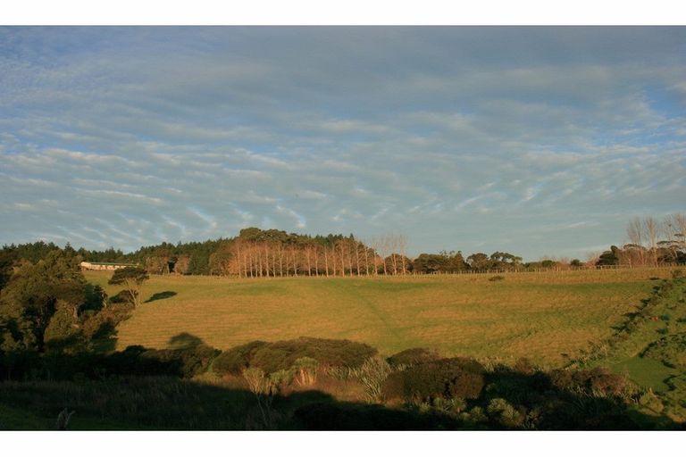 Photo of property in 56e Kaipara Coast Highway, Helensville, 0871
